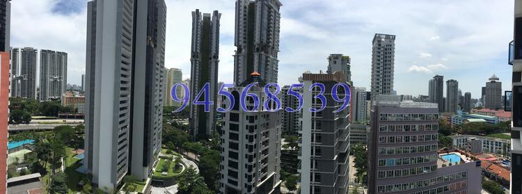 368 Thomson (D11), Condominium #151513322